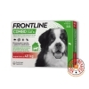 Frontline Combo Spot on Cani XL con peso oltre 40 kg 3 Pippette