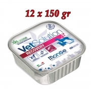 Monge Vetsolution Recovery Cane 12 x 150 gr