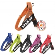 Pettorina A Fascia Julius-K9 IDC Color e Gray belt harness Taglia S-Mini