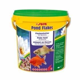 Sera Pond Flakes Mangime in Sc