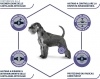 Advance Veterinary Diets Articular Cibo per Cani con Problemi Articolari - 12kg